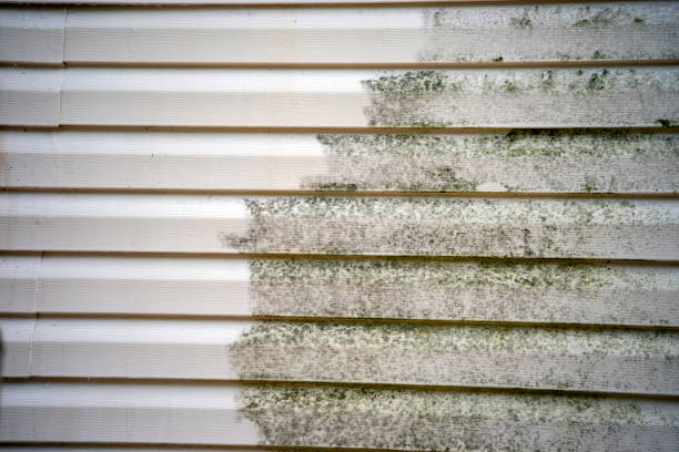 Same-Day Junk Removal Services in Ballston Spa, NY